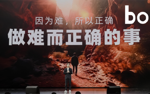 5年成为行业头部，赵一鸣零食“后来居上”凭什么？