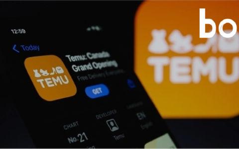 Temu重写规则，中国制造再上全球牌桌