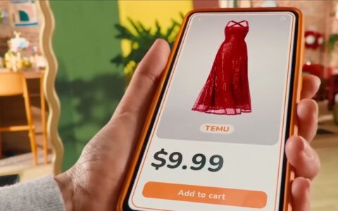 深度解析Temu狂飙突进：效率的战争，模式的胜利