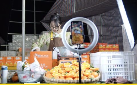 拼多多100亿搞研发背后：好风“拼”借力，送农“上青云”