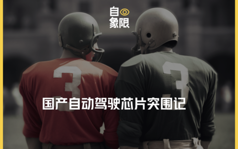争相上市，黑芝麻智能和地平线，能突出重围吗？