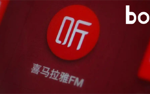 盈利2.24亿元，能换来喜马拉雅一个上市名额？