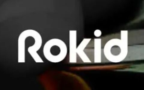 三问“Rokid”