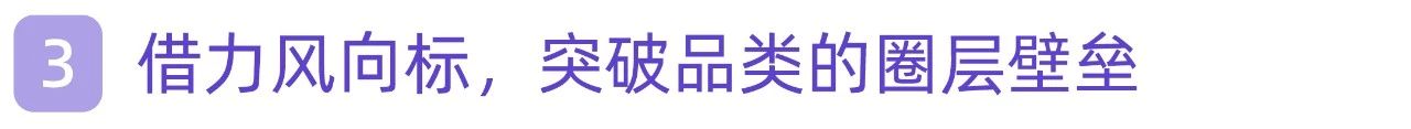 一文讲透 | 品牌上新的种草说明书