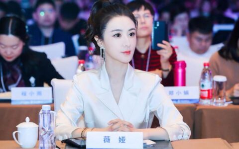 薇娅已经没必要“复播”了