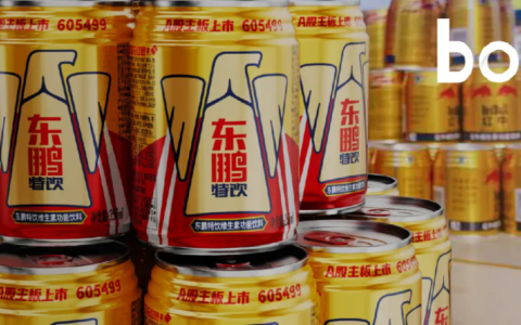 问路多元化，东鹏饮料的迷局