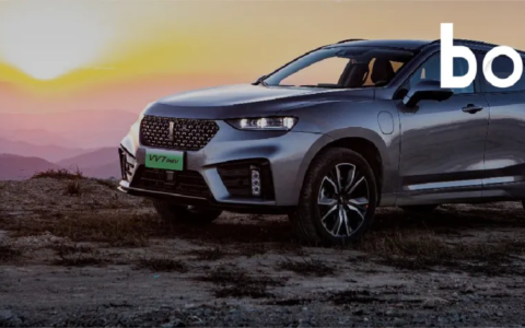 长城汽车站着把钱挣了 | 车圈