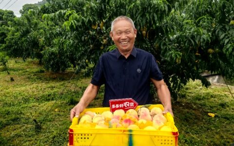 不计短期得失，拼多多进入新一轮“投入期”