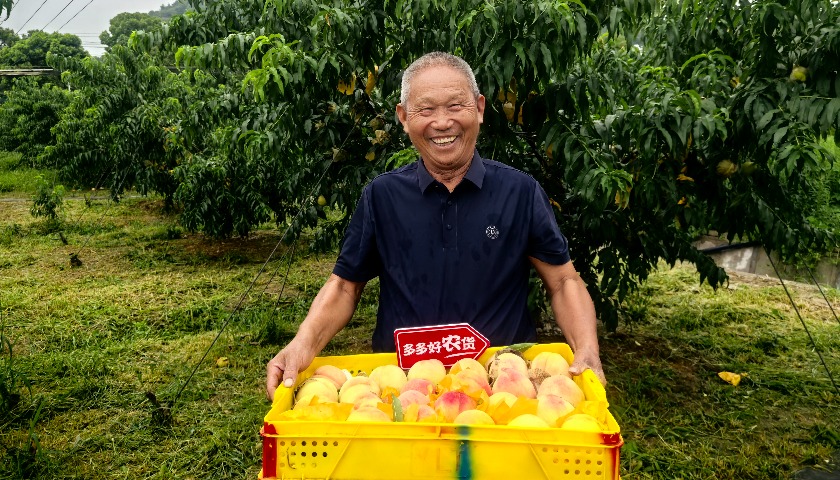 不计短期得失，拼多多进入新一轮“投入期”
