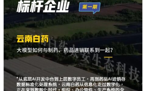大模型时代，云南白药如何成为一家AI医药企业？｜产业AI案例