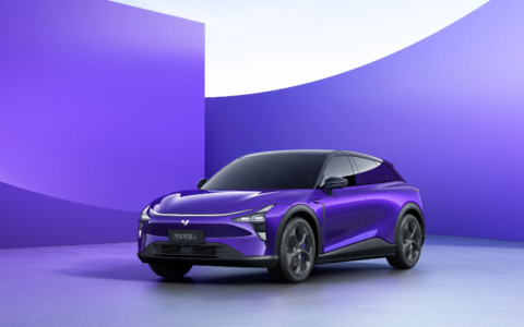 极越，搬起“小米”砸自己的脚