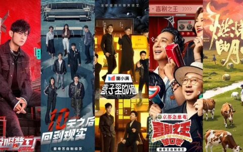 爆款综艺，为什么越来越离不开这三大关键词？