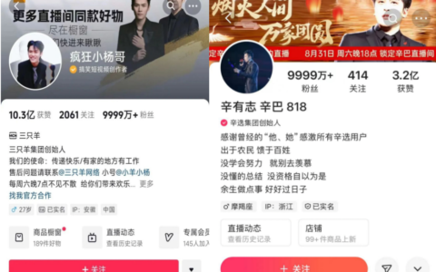 辛巴的骂，小杨哥的怕