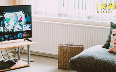 精英人设“翻车”，观众到底要看什么？