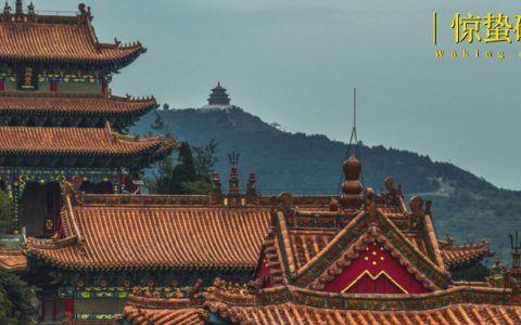 “天命人”的泼天流量，山西接到了吗？