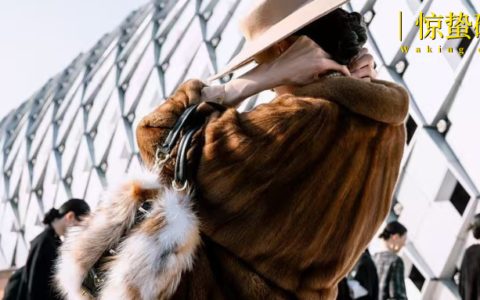 在皮草直播间里，看见女装电商的“底气”