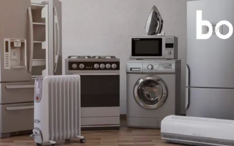 国补换新+双11，一场“及时”的家电狂欢