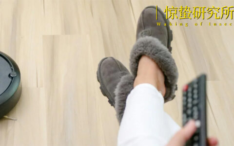 智能小家电怎么不香了？