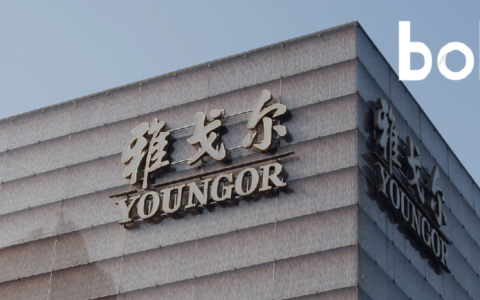 阿里都搞不定的银泰，雅戈尔为何接手？