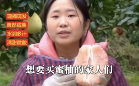 贵州300余农户用上百度数字人直播 1个月预售近万斤！