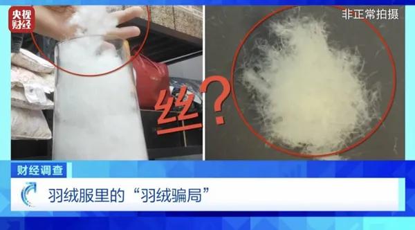 羽绒服市场乱象丛生,造假商家如何偷梁换柱?