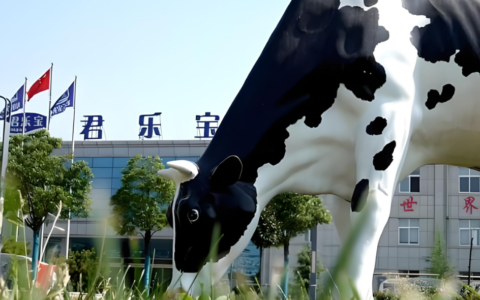 君乐宝挺住！你现在是“全村的希望”