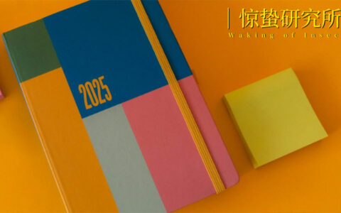 2025消费前瞻：理性消费，感性“突围”