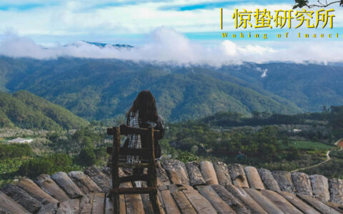 疗愈经济崛起，跑出八大创新业态