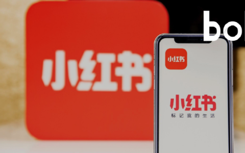 度量“种草”，小红书要更赚钱 | 回首2024