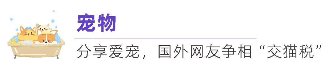 开年爆点｜“TikTok难民”这泼天富贵怎么接？