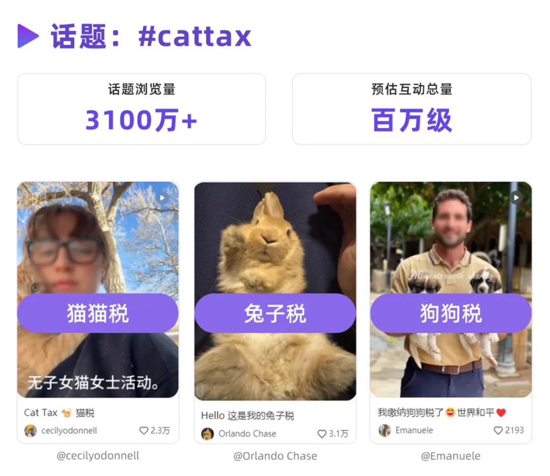 开年爆点｜“TikTok难民”这泼天富贵怎么接？
