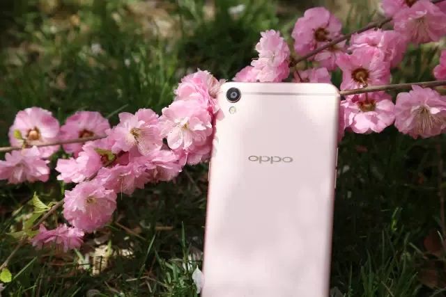 转向、止损、撕标签，OPPO二十年经历的残酷与代价