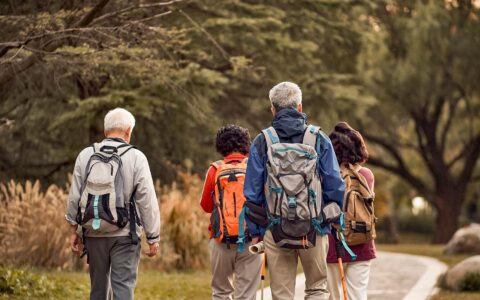 人均32万的旅行，只有退休“银发族”敢冲?