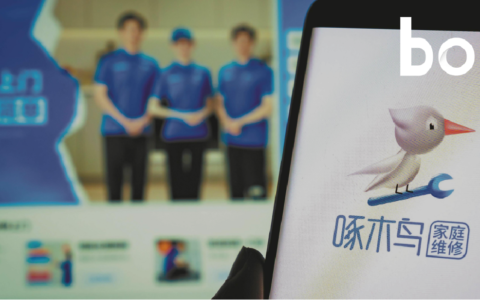 啄木鸟，没能成为维修行业的1%