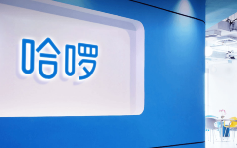 CEO控股永安行引发上市猜想，但哈啰的单车故事还性感吗？