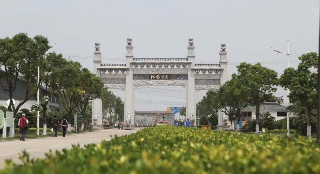 疯涨的墓地，正在被抛弃