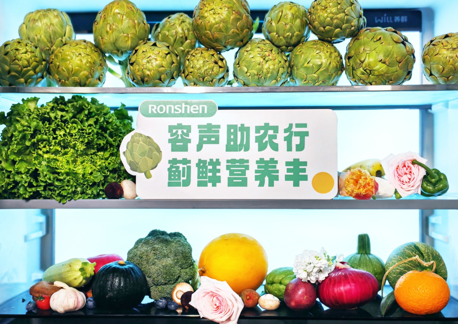 容声冰箱“寻鲜之旅”揭开“蔬菜皇后”洋蓟的秘密