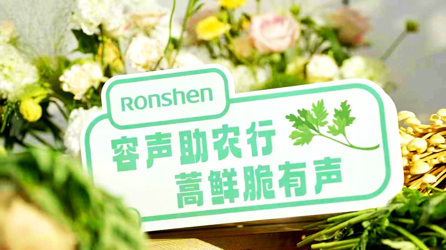 容声冰箱“寻鲜之旅”揭开“蔬菜皇后”洋蓟的秘密