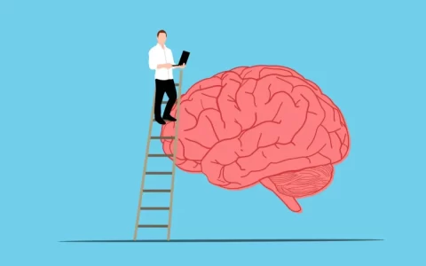 领导情绪不稳定背后的科学