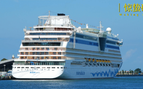 靠文化破圈，游轮又火了