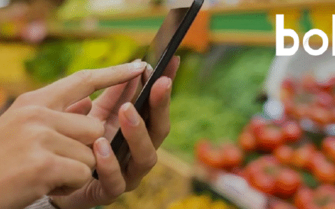 闯关IPO，朴朴超市面临“围城”难题