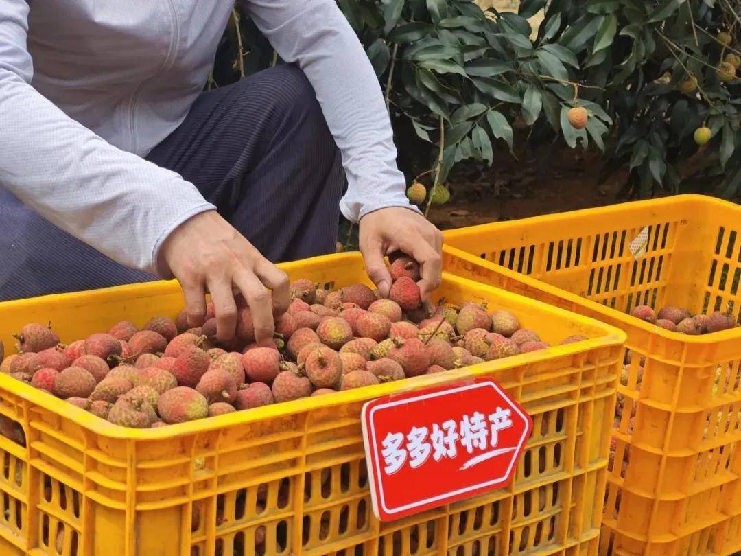 一场需求颗粒度革命下的电商平权实验
