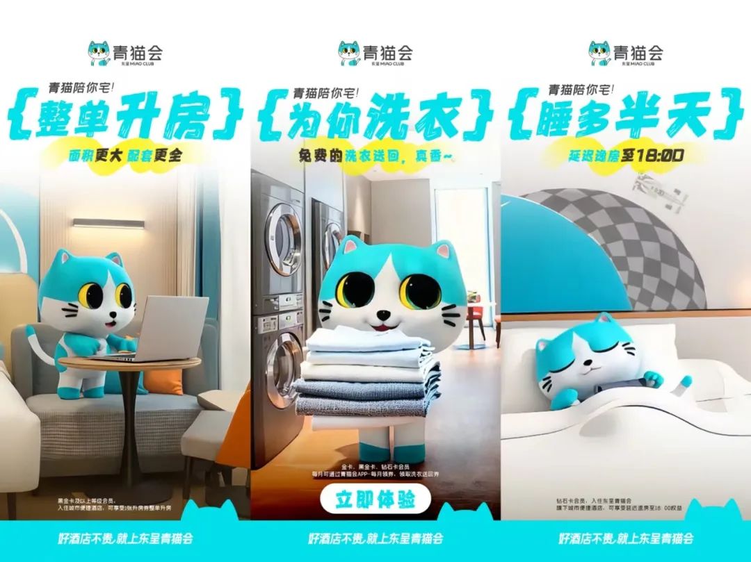 会“过日子”的年轻人，爱上东呈青猫会