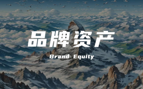 品牌资产：企业基业长青的战略引擎