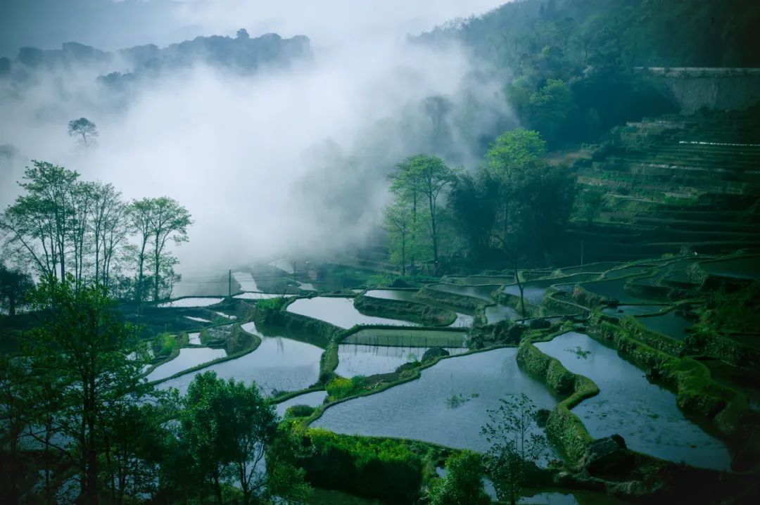 旅游业进入新时代：普惠趋势如何重构OTA平台的竞争逻辑？