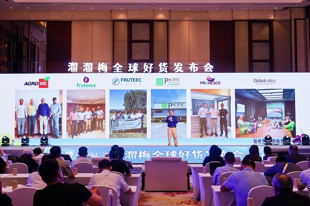 买全球资源，卖全球市场，溜溜梅如何用“好货”构建品牌护城河？
