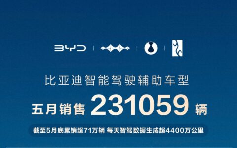 智驾市场格局生变，比亚迪凭超23万辆销量强势领跑