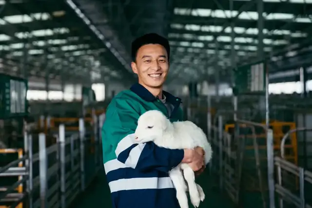牺牲短期看长期,拼多多千亿投入换万亿未来