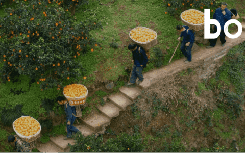 想破局同质化，就来“千亿扶持”拼一把