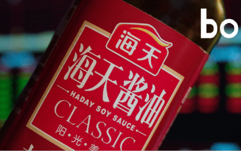 调味品NO.1，海天味业“眺望”更大的世界